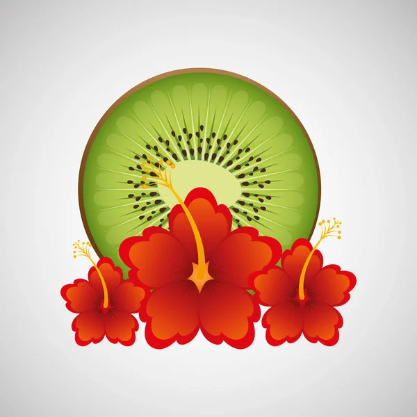 Kiwi tropical e belas flores vermelhas —  Vetores de Stock