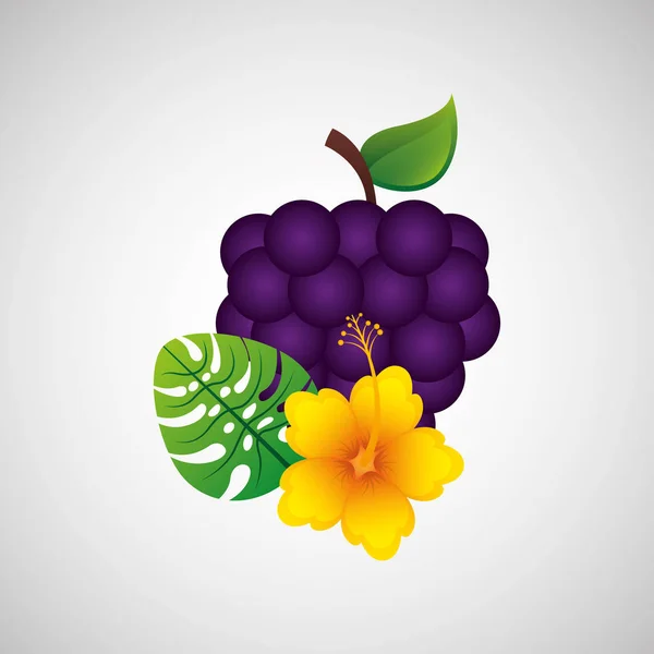 Kwiat i owoc winogron projekt — Wektor stockowy