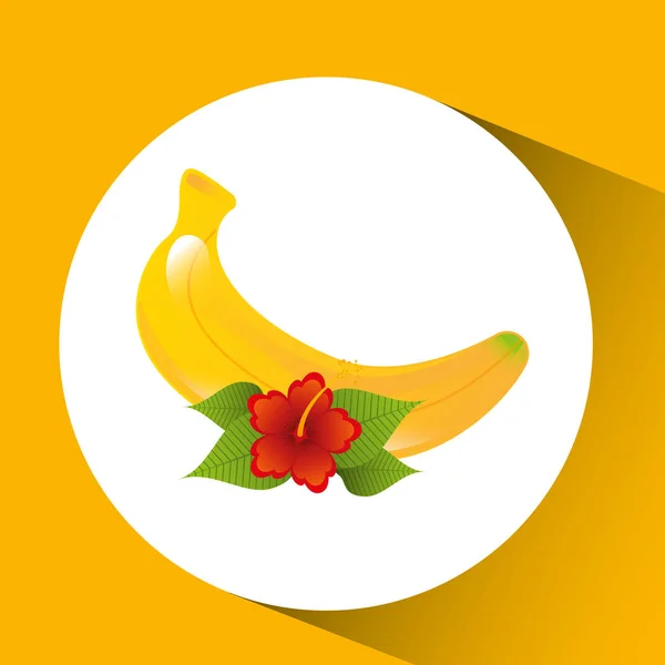 赤い花と熱帯のバナナ フルーツ デザイン — ストックベクタ