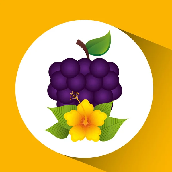 Милий квітковий і виноградний дизайн фруктів — стоковий вектор
