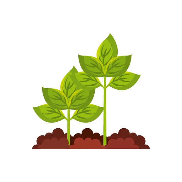 Rostlina zemědělství izolované ikona — Stockový vektor