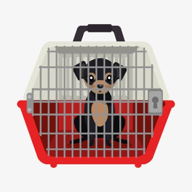 köpek evcil hayvan seyahat taşıyıcı simgesi