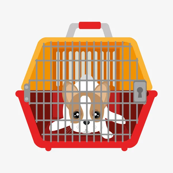 Sevimli köpek yavrusu plastik taşıyıcı içinde — Stok Vektör