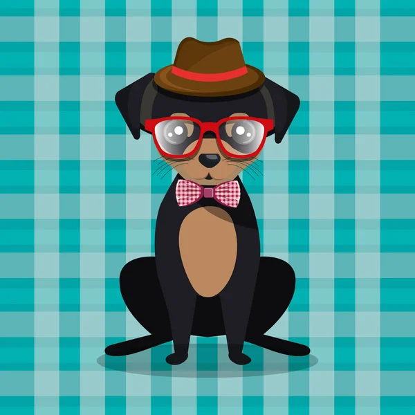 Moda perro cachorro sentarse sombrero gafas arco a cuadros bacground — Vector de stock