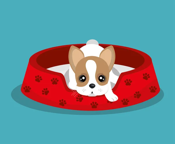 Boston terrier acostado en cama roja — Vector de stock