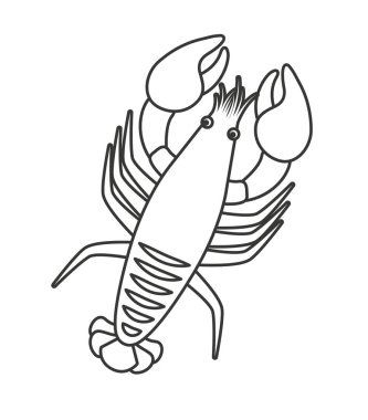 ıstakoz deniz ürünleri hayvan izole simgesi