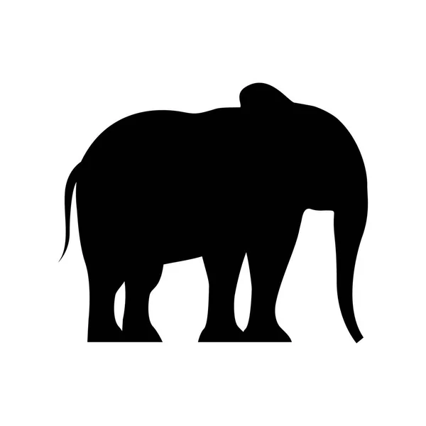 Elefánt silhouette elszigetelt ikon — Stock Vector