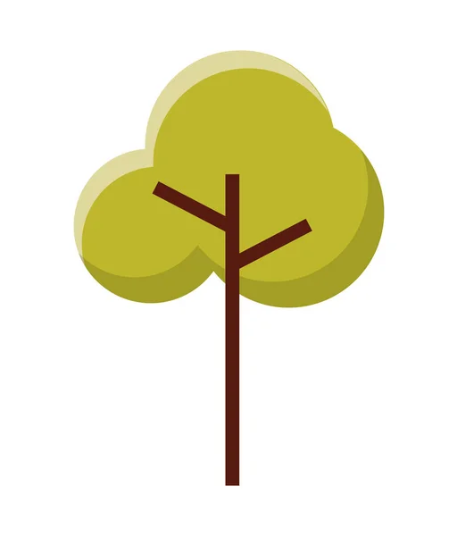 Tree plant isolated icon — Stock Vector