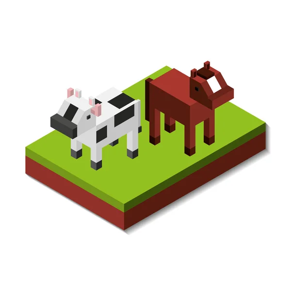 Farmě čerstvé izometrické ikony — Stockový vektor