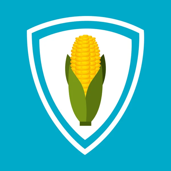 Corn vegetable isolated icon — Stock Vector