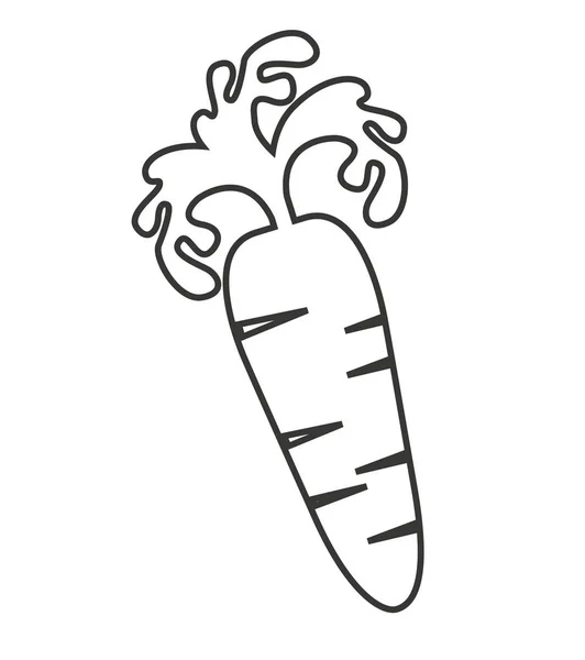 Zanahoria vegetal aislado icono — Vector de stock