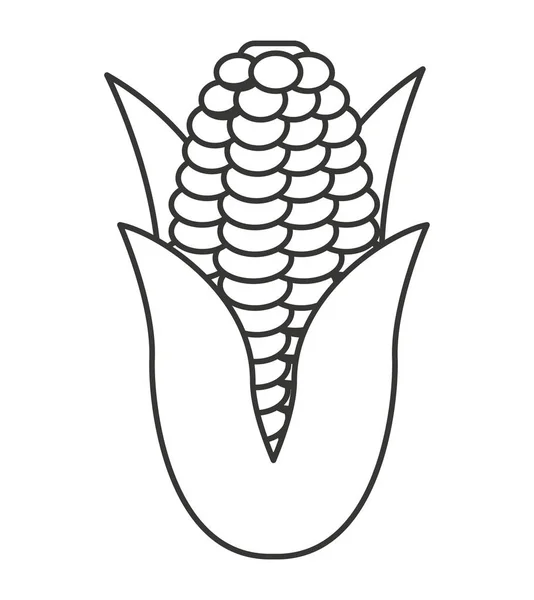 Ícone isolado vegetal de milho — Vetor de Stock