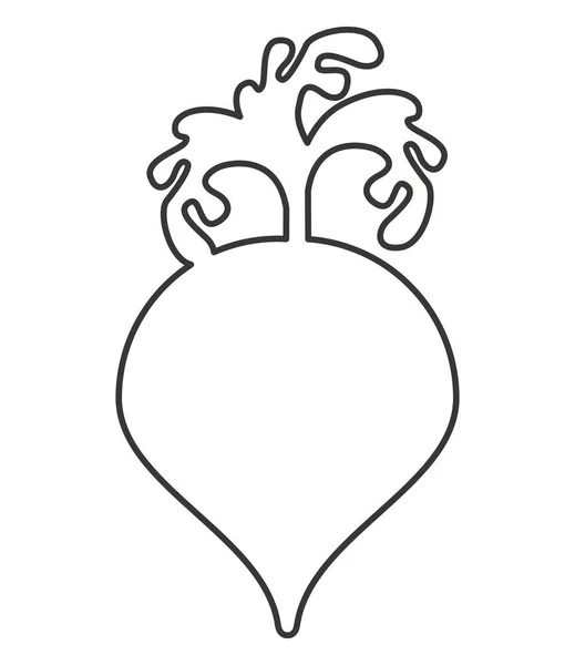 Bettle warzyw ikona na białym tle — Wektor stockowy