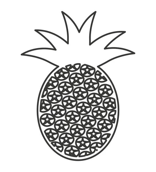 Ananas fruits frais icône isolée — Image vectorielle