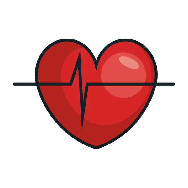 Heart cardio isolated icon — Stock Vector