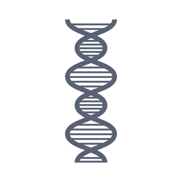 Molécula de ADN icono aislado — Vector de stock