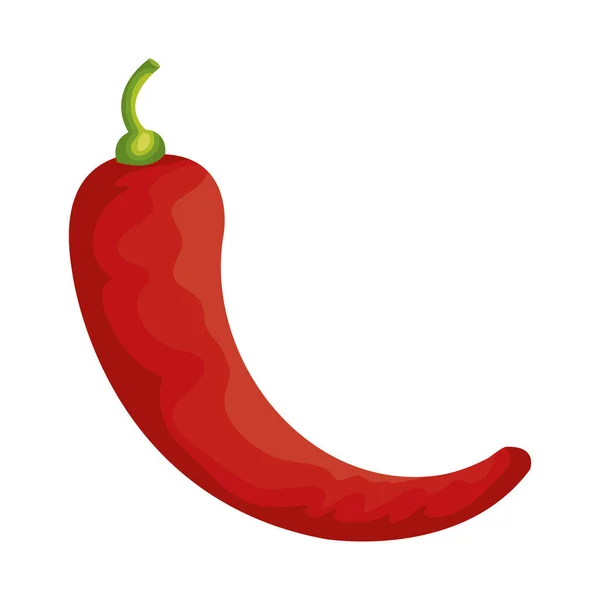 Chili pimienta vegetal aislado icono — Vector de stock