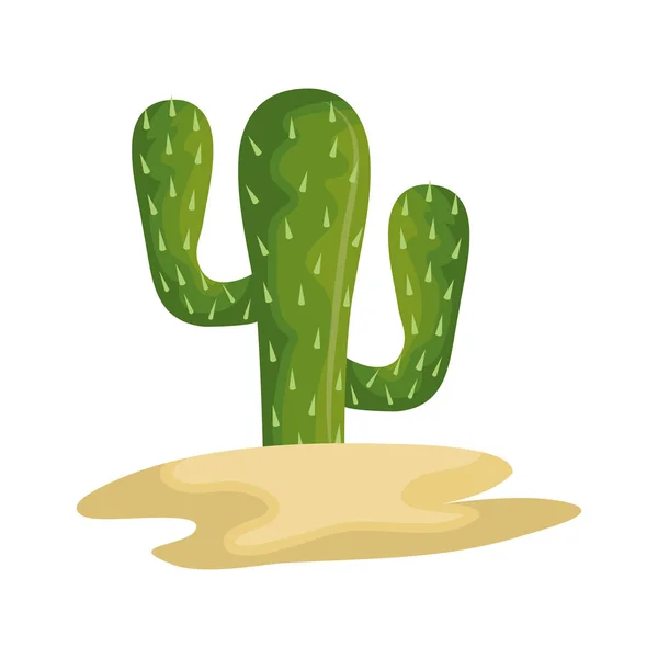 Cactus desert plant icon — Stock Illustration Cactus desert plant icon Stock Illustration
