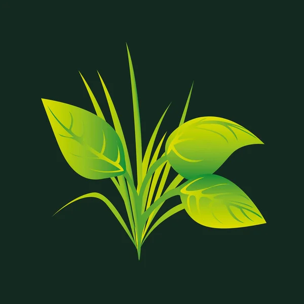 Eco bok miljö natur flora grafik — Stock vektor