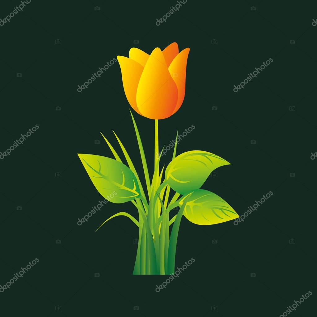 バラのつぼみストックベクター ロイヤリティフリーバラのつぼみイラスト Depositphotos