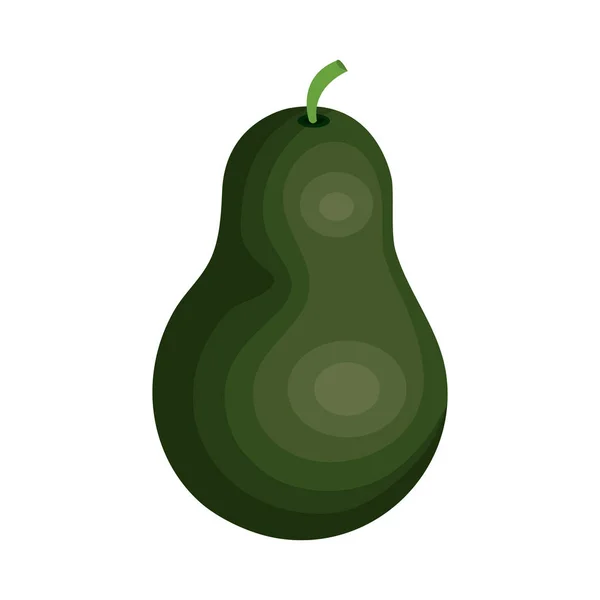 Икона из свежих овощей авокадо — стоковый вектор