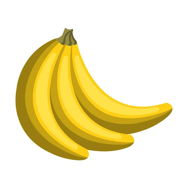 Banane frisches Obst isoliert Symbol — Stockvektor