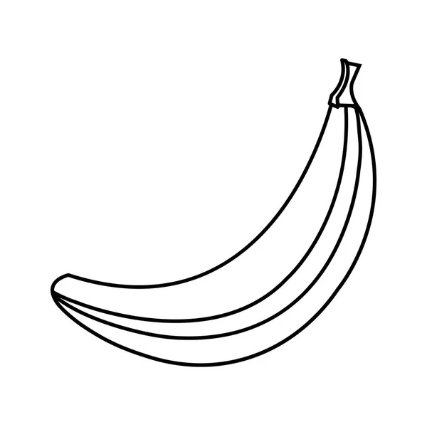 Ícone isolado de banana fruta fresca — Vetor de Stock