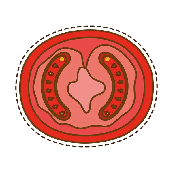 Tomate vegetal fresco aislado icono — Archivo Imágenes Vectoriales