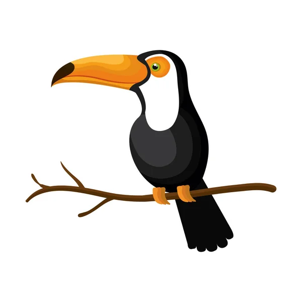 Toucan bird exotic icon — Stock Vector