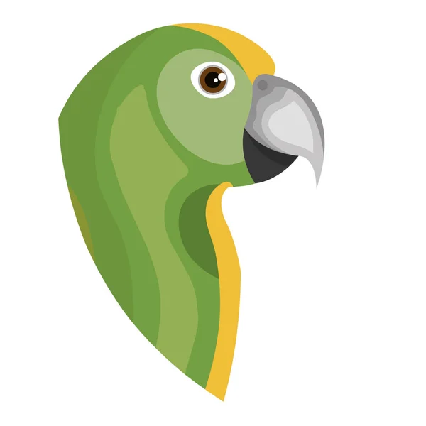 Parrot bird isolated icon — Stock Vector