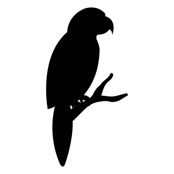 Parrot bird isolated icon — Stock Vector