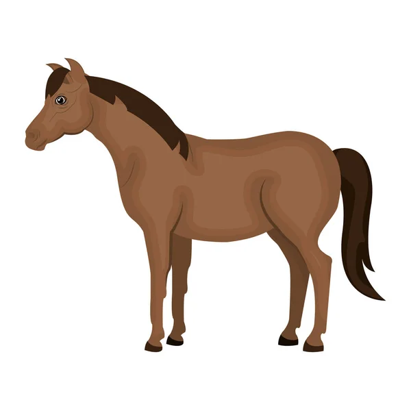 Horse animal farm icon — Stock Vector