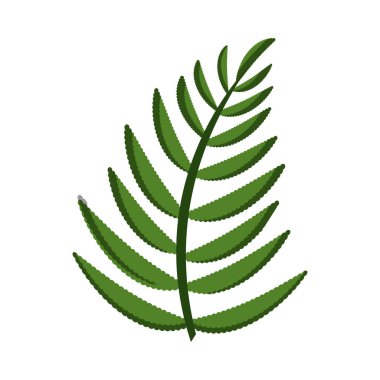 Yaprak palmiye doğası izole edilmiş simge