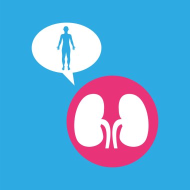 siluet adam böbrek anatomisi vücut