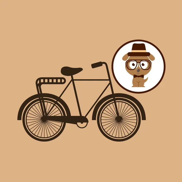 Hipster dog symbol bicycle design vintage background — Stock Vector