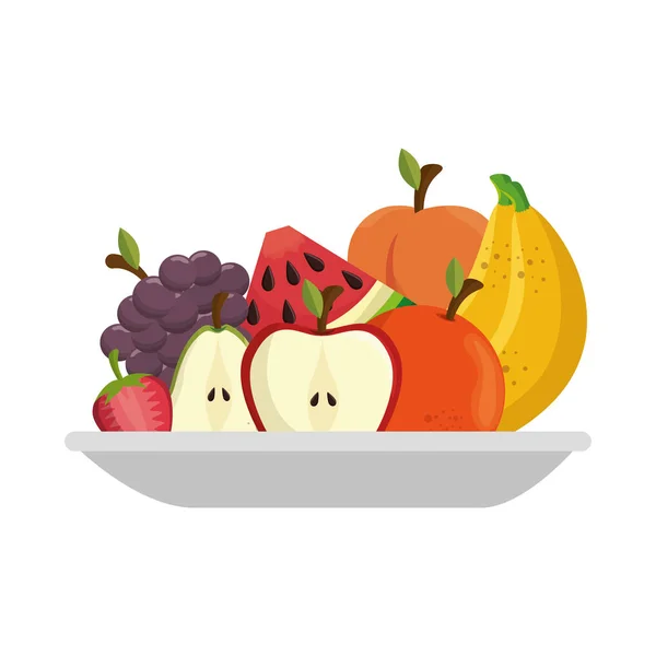 Fruit salad plate isolated icon — Stock Vector