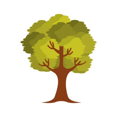 ağaç bitki izole simgesi
