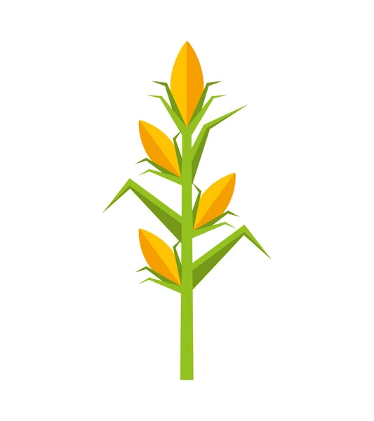 Planta de maíz aislado icono — Archivo Imágenes Vectoriales