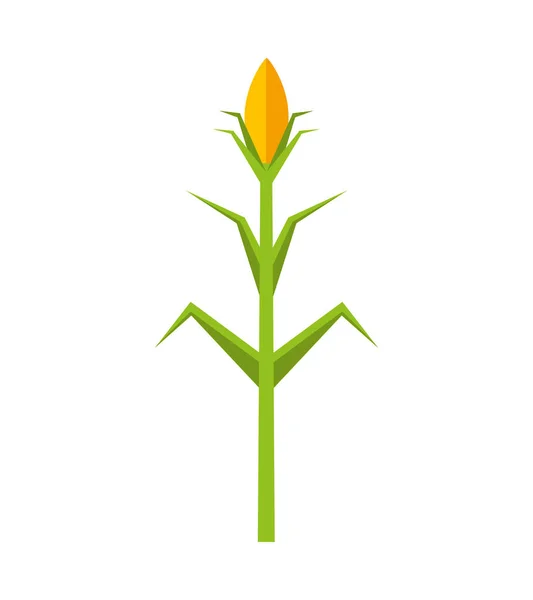 Кукурудзяна рослина ізольована ікона — стоковий вектор