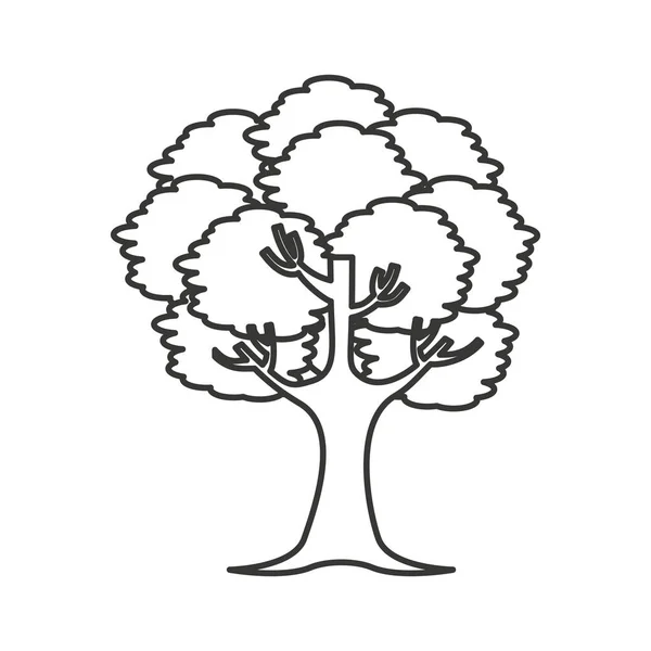 Árbol planta aislado icono — Archivo Imágenes Vectoriales