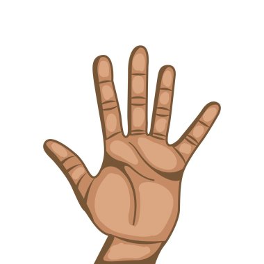 İnsan el tasarımı