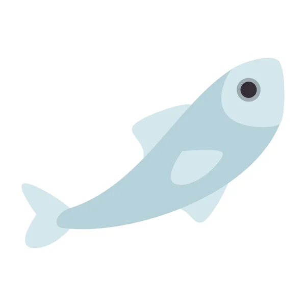 Maso rybí izolované ikona — Stockový vektor