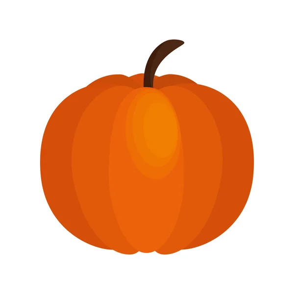 Ikona jedzenie Pumpkin Dziękczynienia — Wektor stockowy