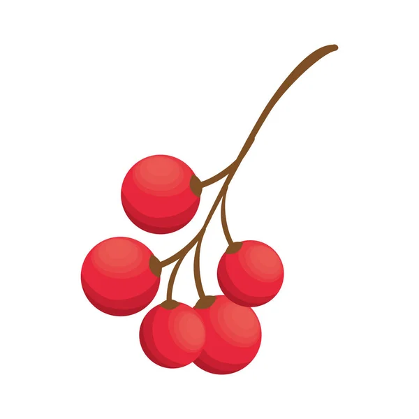 Свіжі фрукти ізольовані значок — стоковий вектор