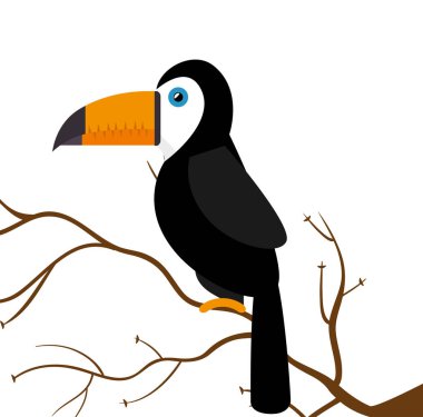 Toucan papağan Brezilya dalda