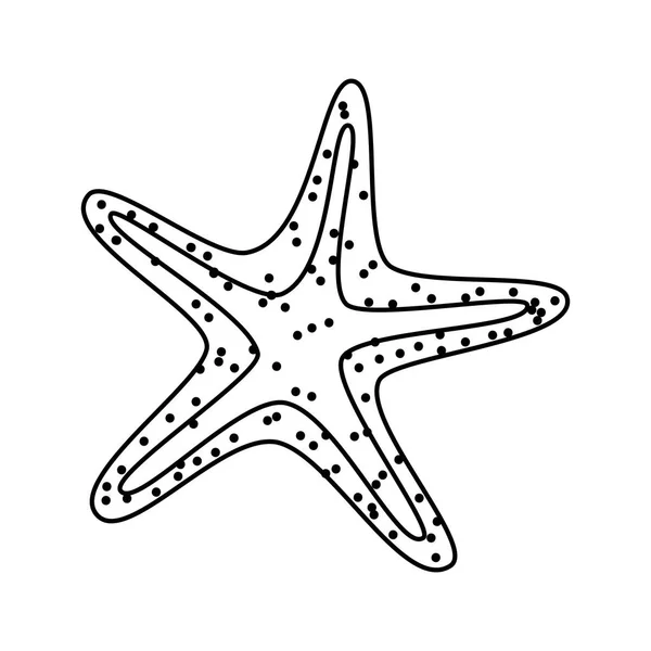 Starfish beach isolated icon — Stock Vector