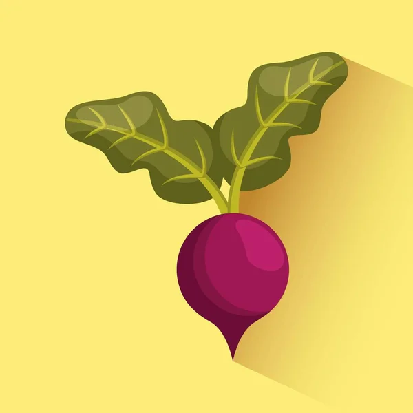 蔬菜食物图标 — 图库矢量图片
