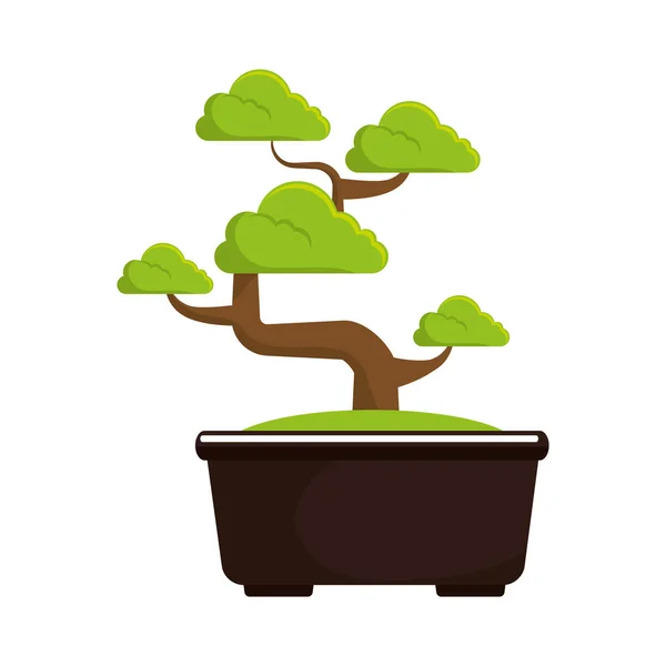 Bonsai tree culture japanese — Stock Vector