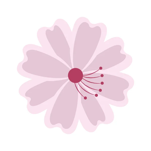 Květina japonské izolované ikona — Stockový vektor