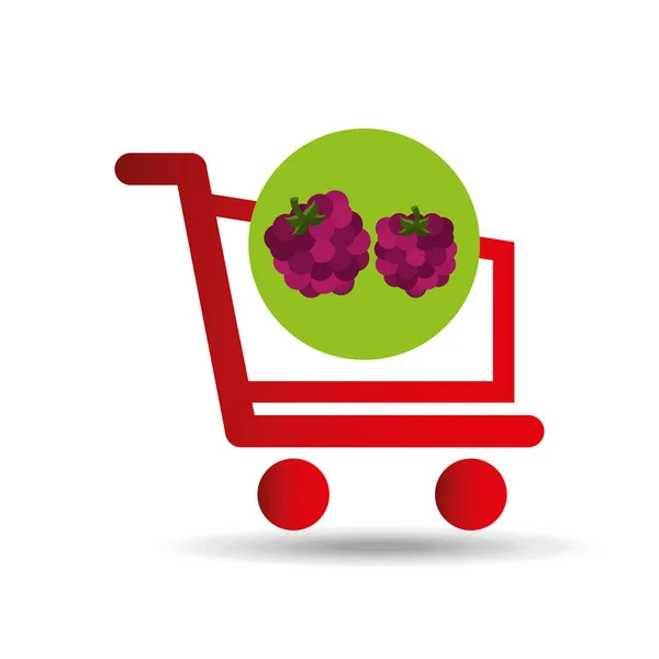 Llevar comprar fruta de frambuesa icono gráfico — Archivo Imágenes Vectoriales